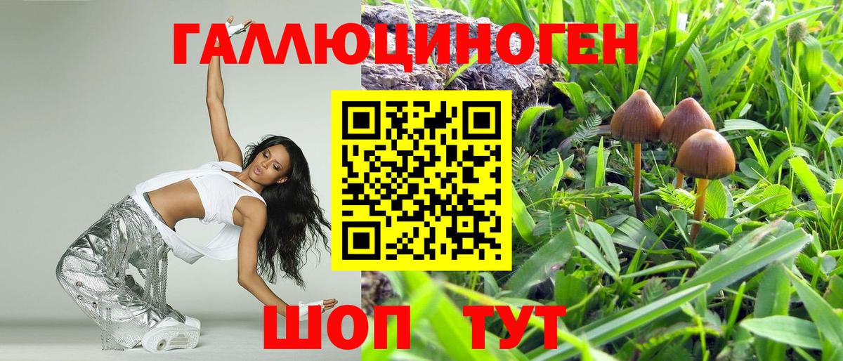 Галлюциногенные грибы Magic Shrooms Боровичи